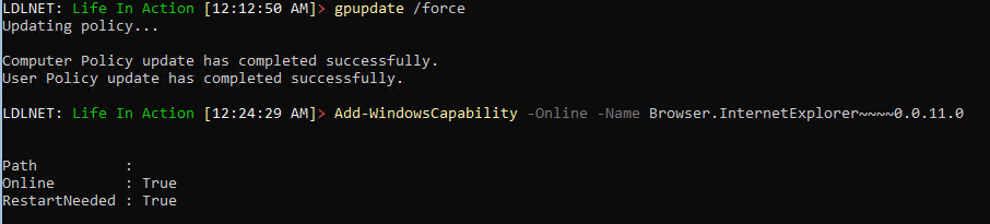 Successful Installation of Windows Capability